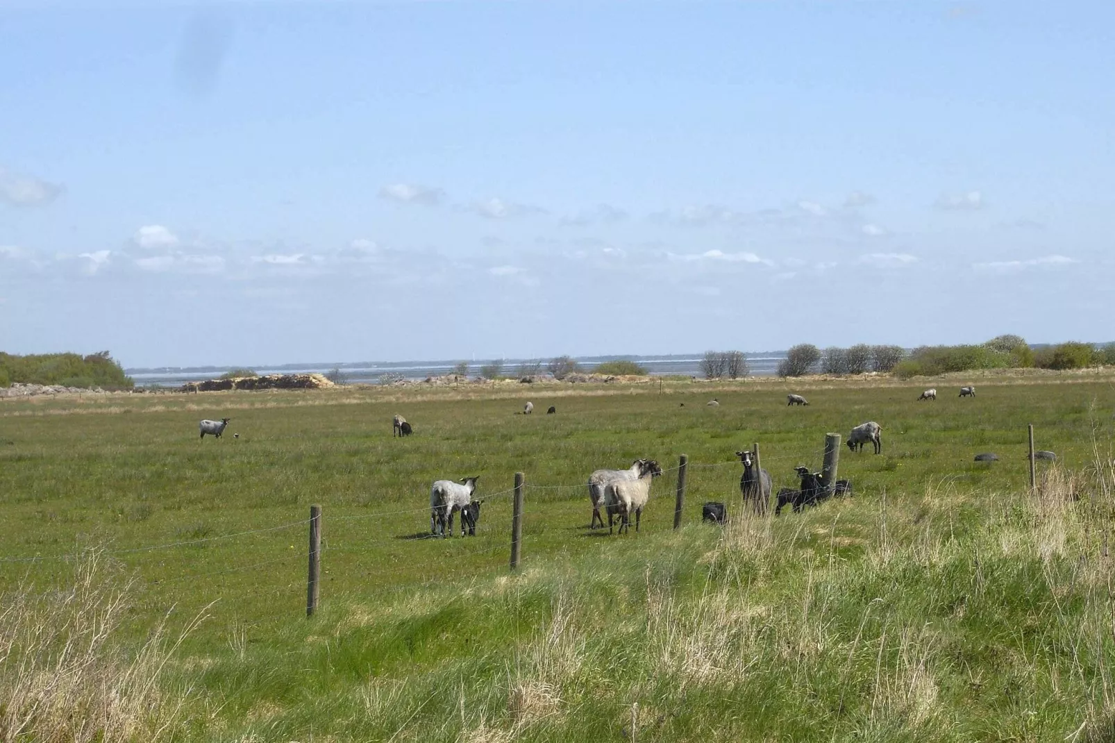 4 persoons vakantie huis in Fanø-Waterzicht