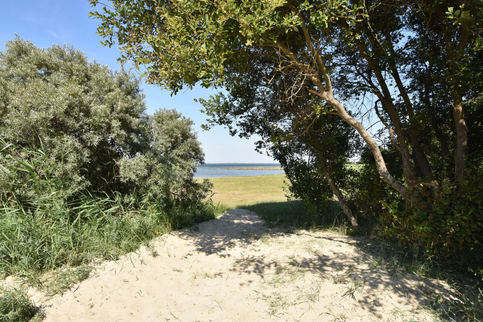 De Notenweide-Gebieden zomer 5km