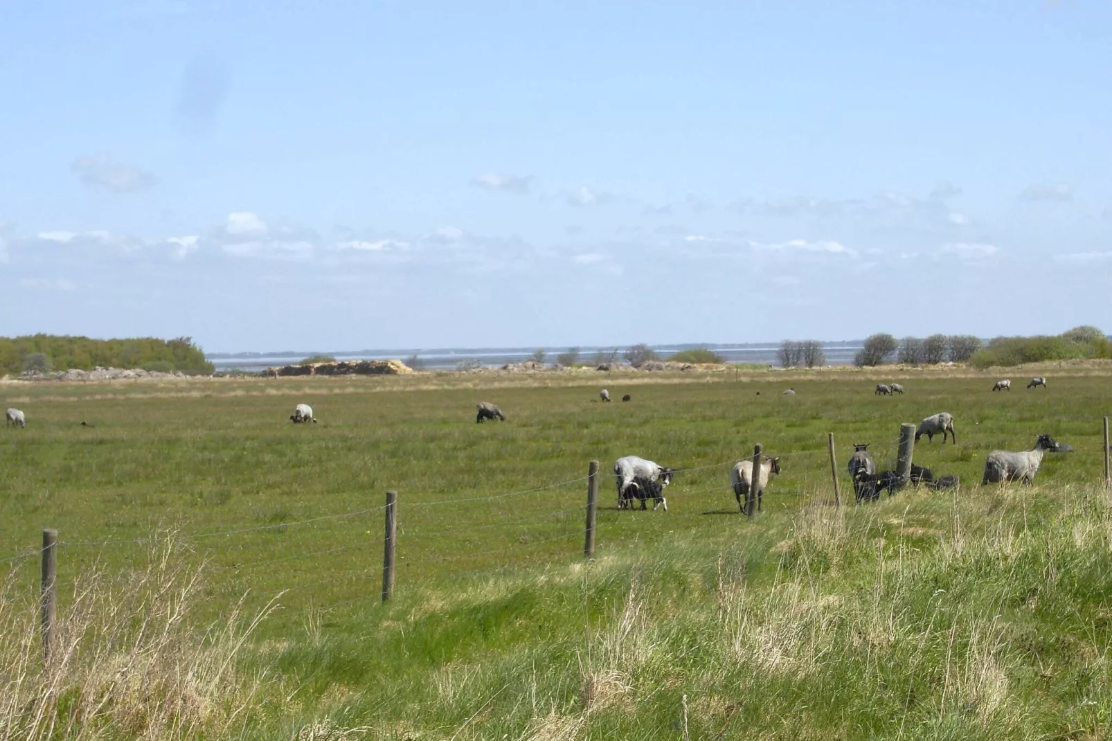 4 persoons vakantie huis in Fanø-Uitzicht