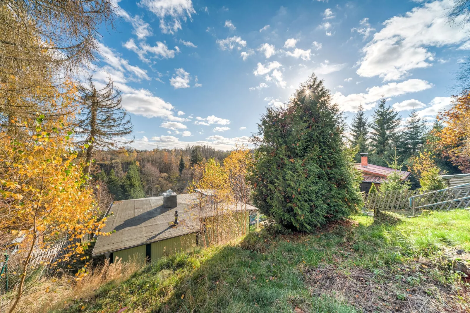 Vakantiehuis met terras naast het bos-Tuinen zomer