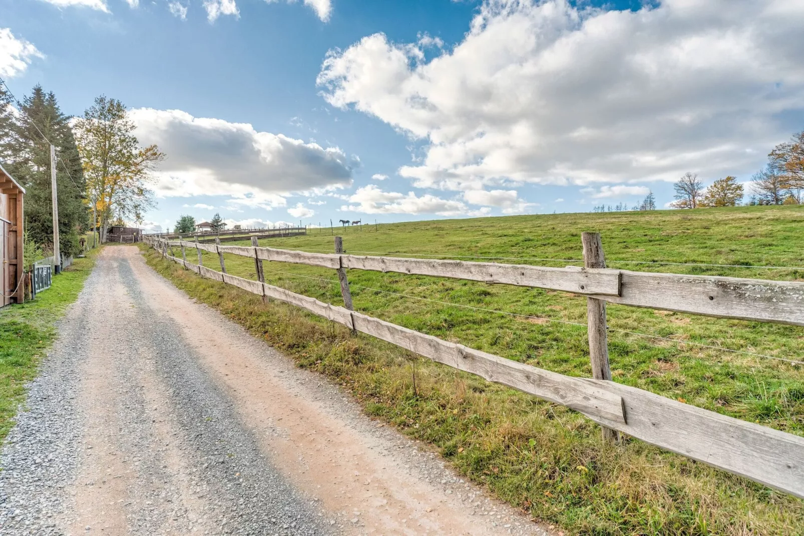 Vakantiehuis met terras naast het bos-Gebieden zomer 5km