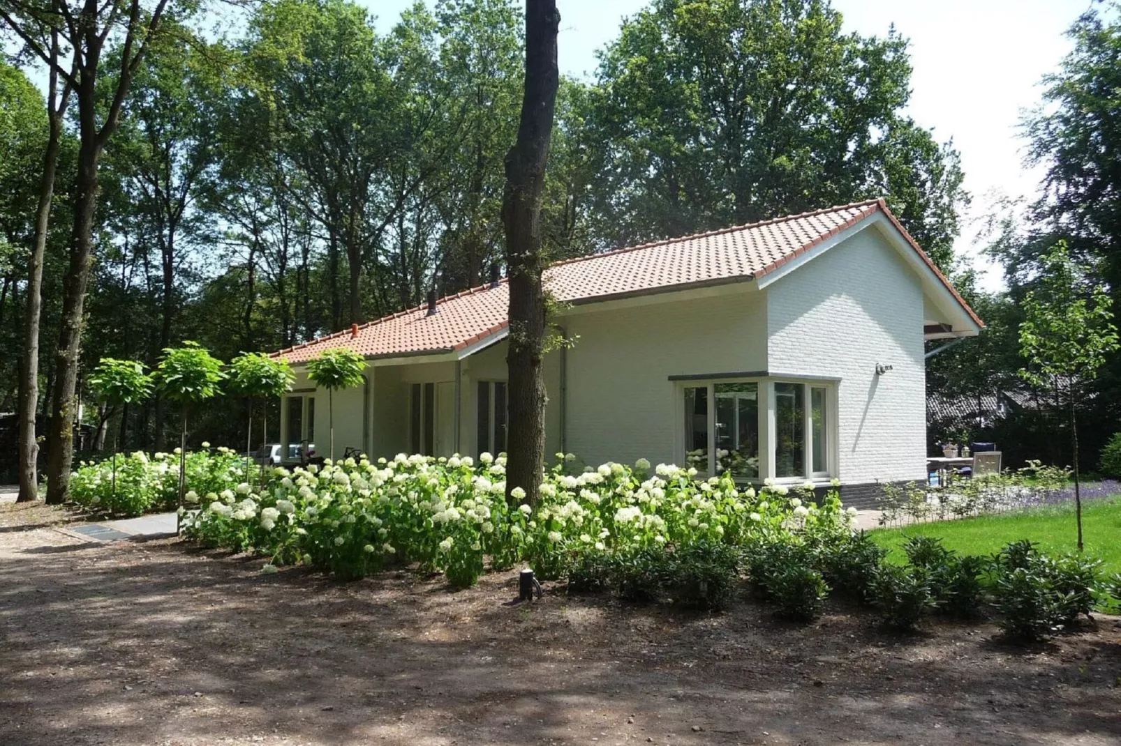 Vakantiepark Sandberghe 7-Buitenkant zomer