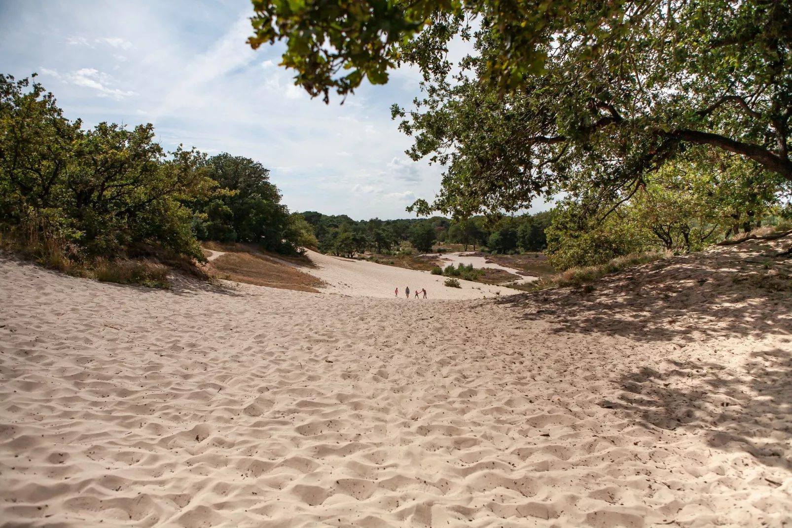 Vakantiepark Sandberghe 10-Gebieden zomer 1km