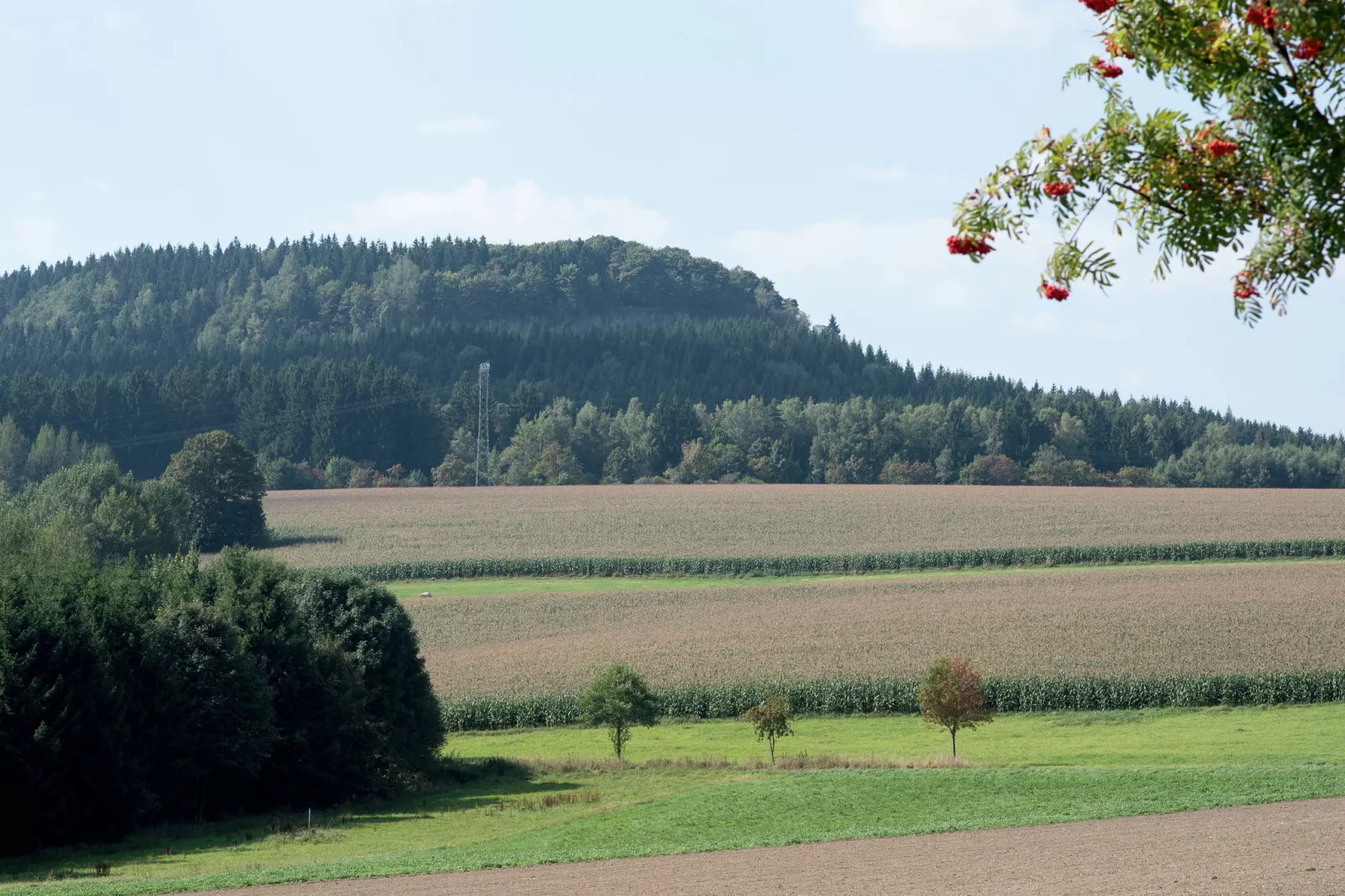 Honighäusl-Uitzicht zomer