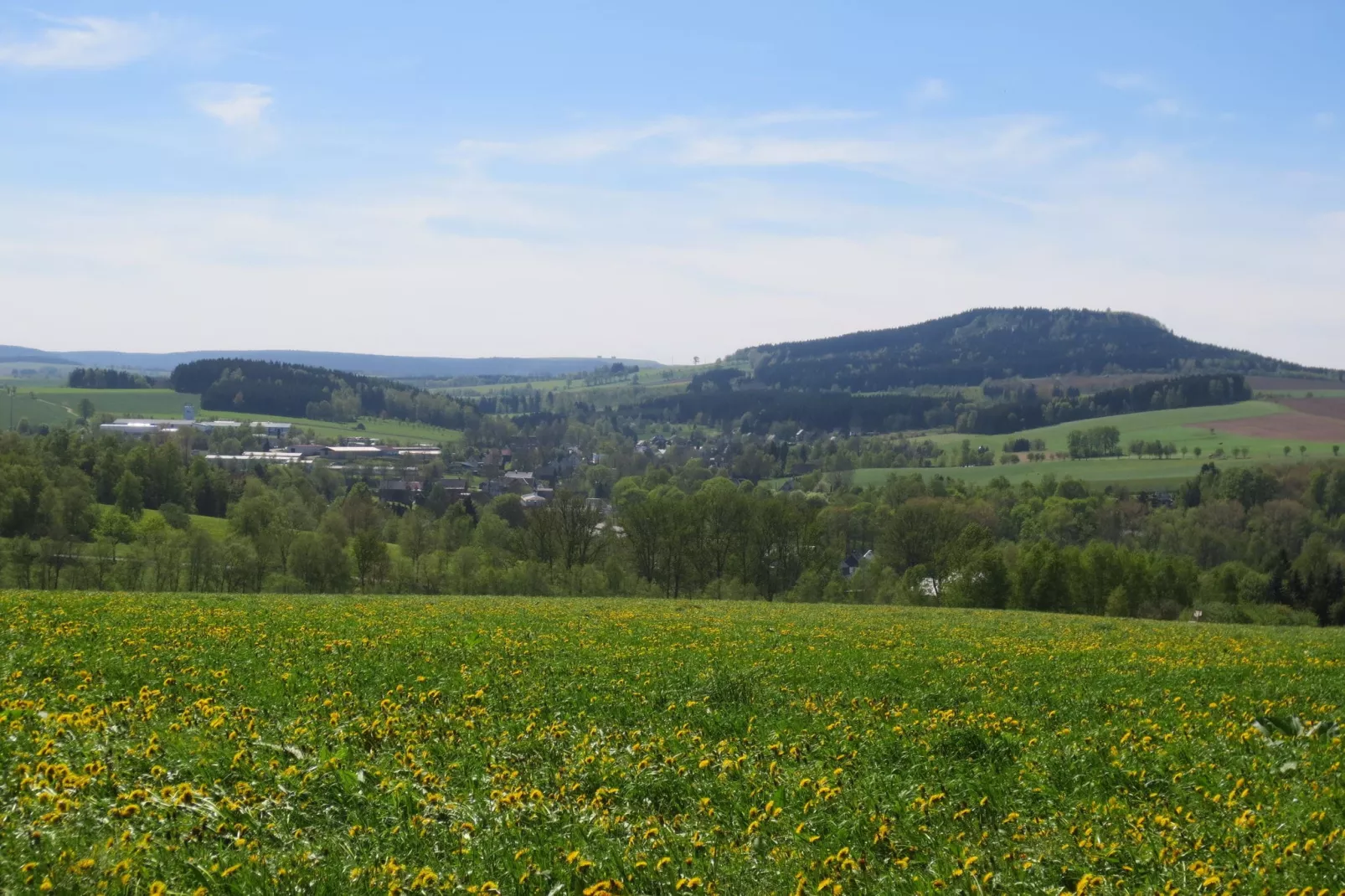 Honighäusl-Gebieden zomer 1km