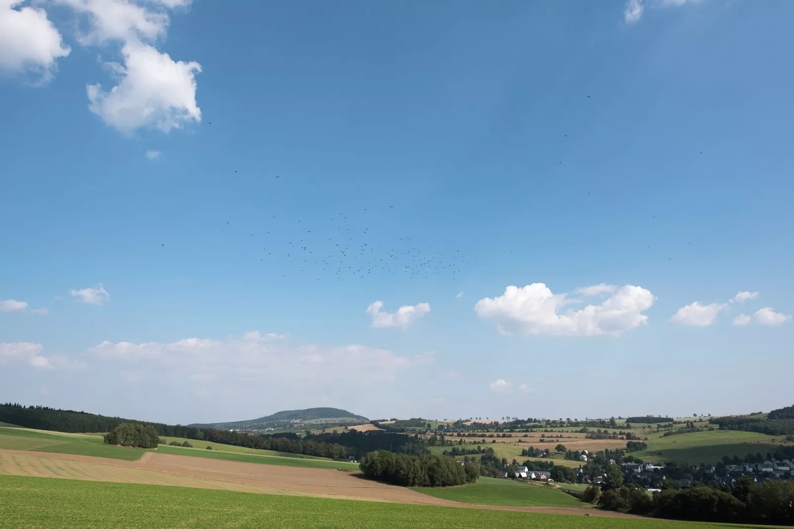 Honighäusl-Gebieden zomer 20km