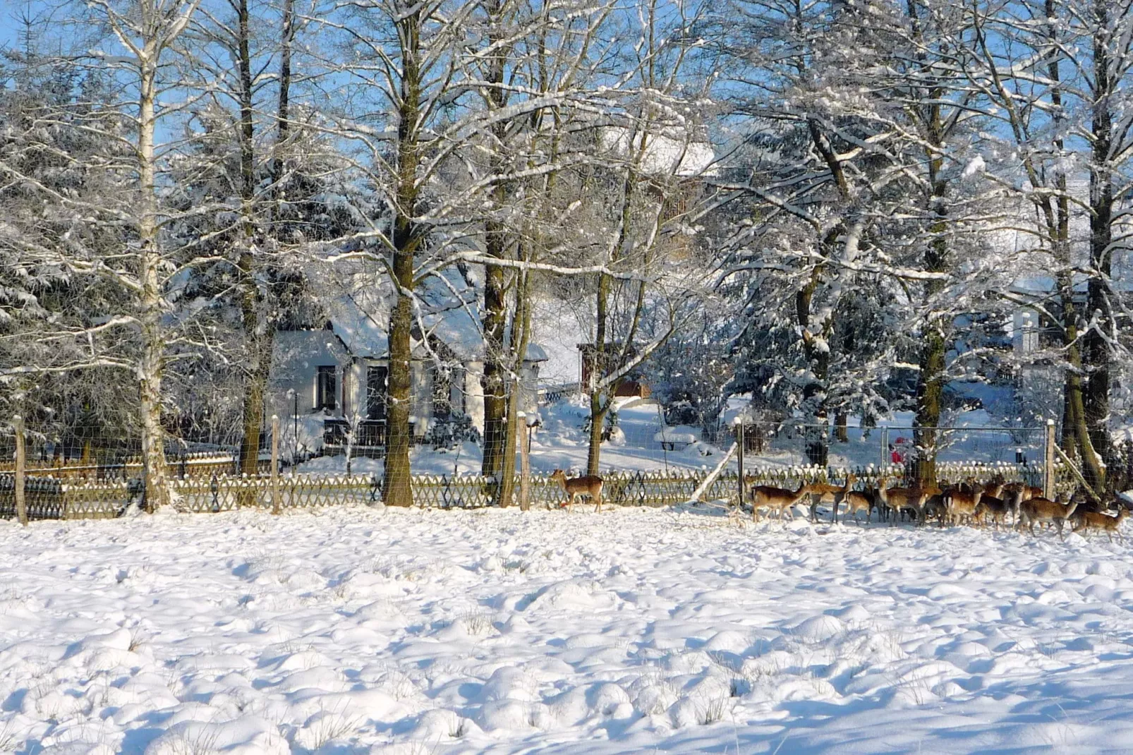 Ferienhaus im Erzgebirge-Uitzicht winter