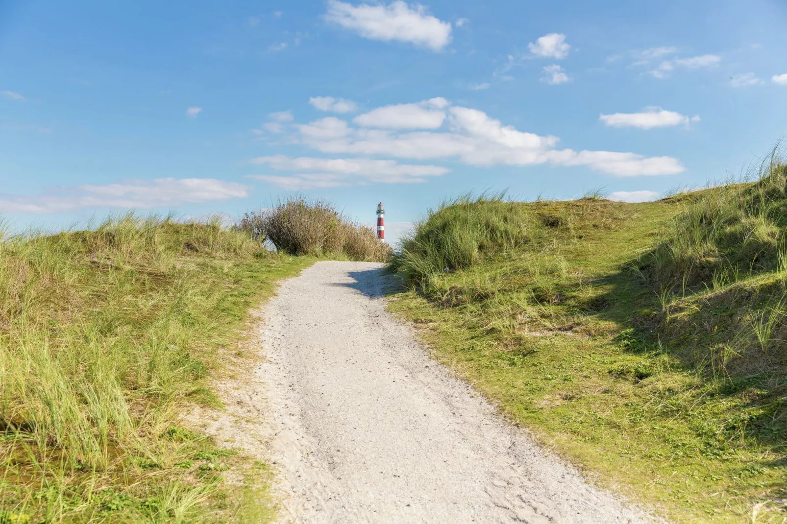 Vakantiepark Boomhiemke 7-Gebieden zomer 5km