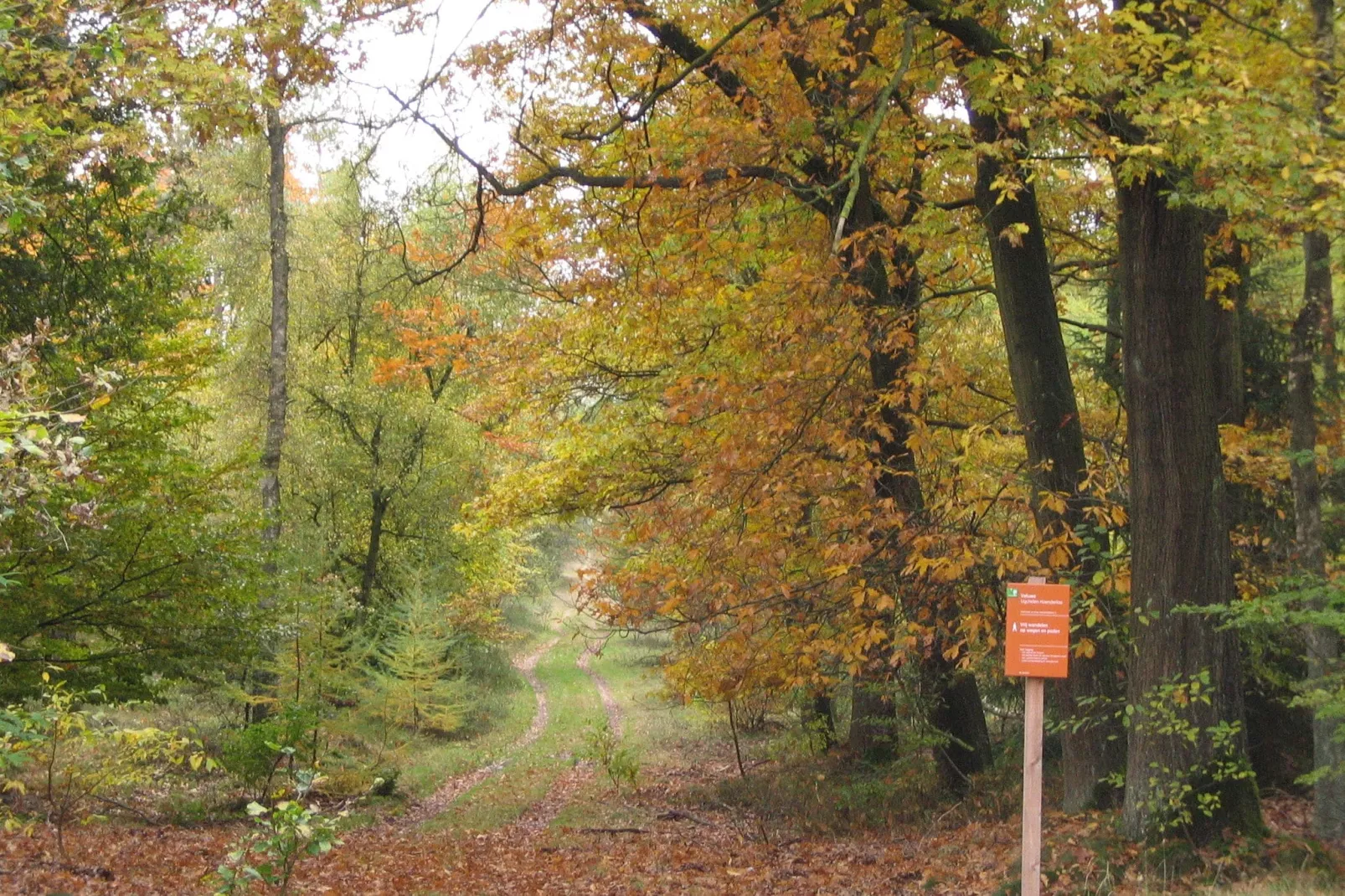 Bungalowpark Hoenderloo 4-Gebieden zomer 1km