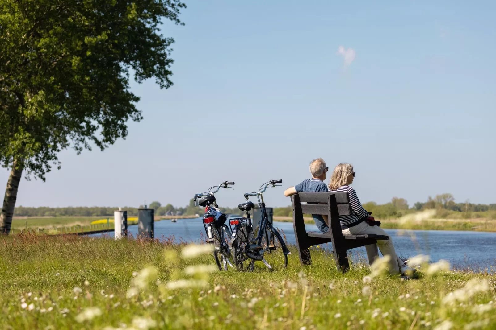 Buitenplaats It Wiid 6-Gebieden zomer 5km