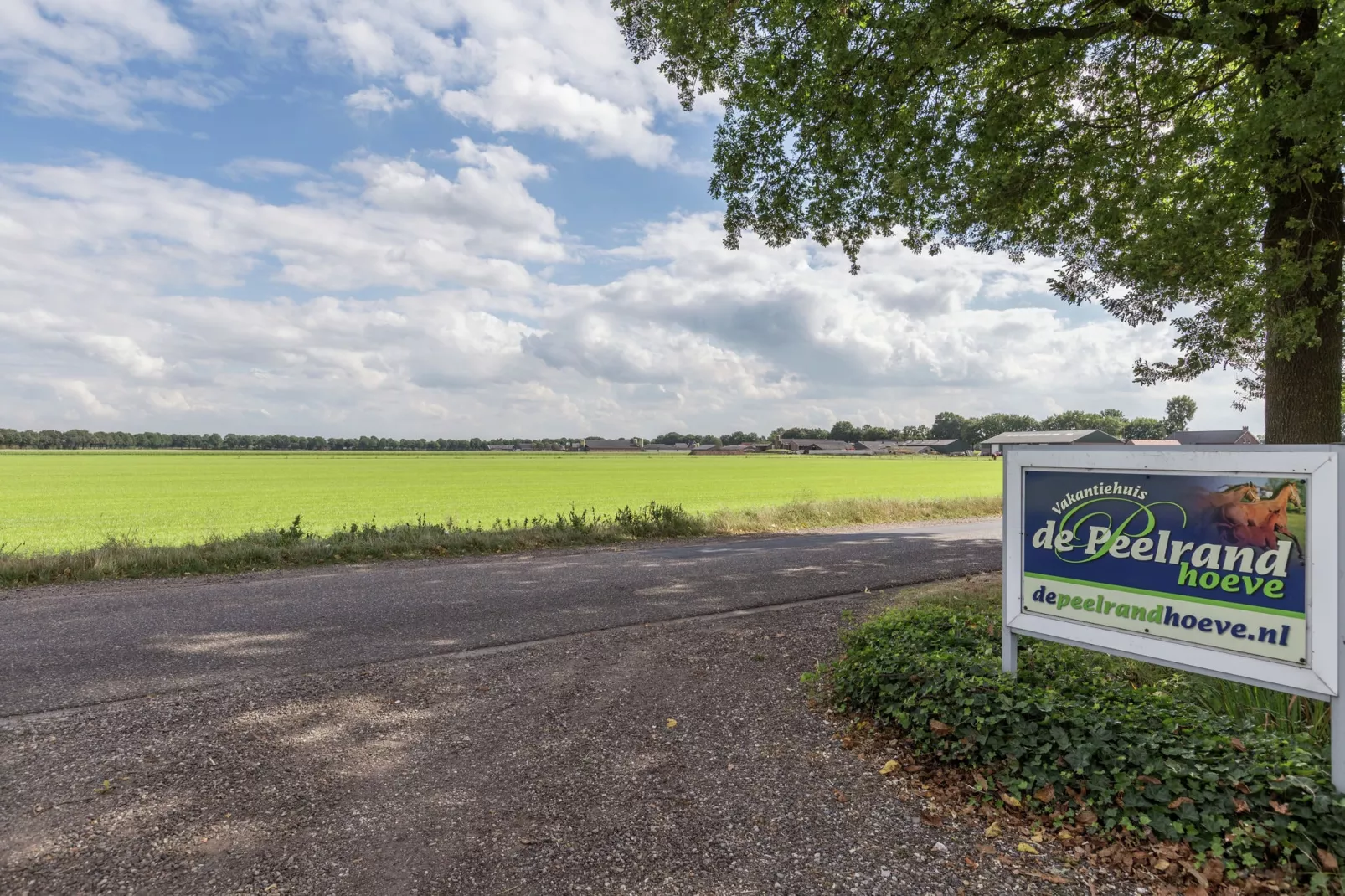 De Peelrand Hoeve-Gebieden zomer 1km