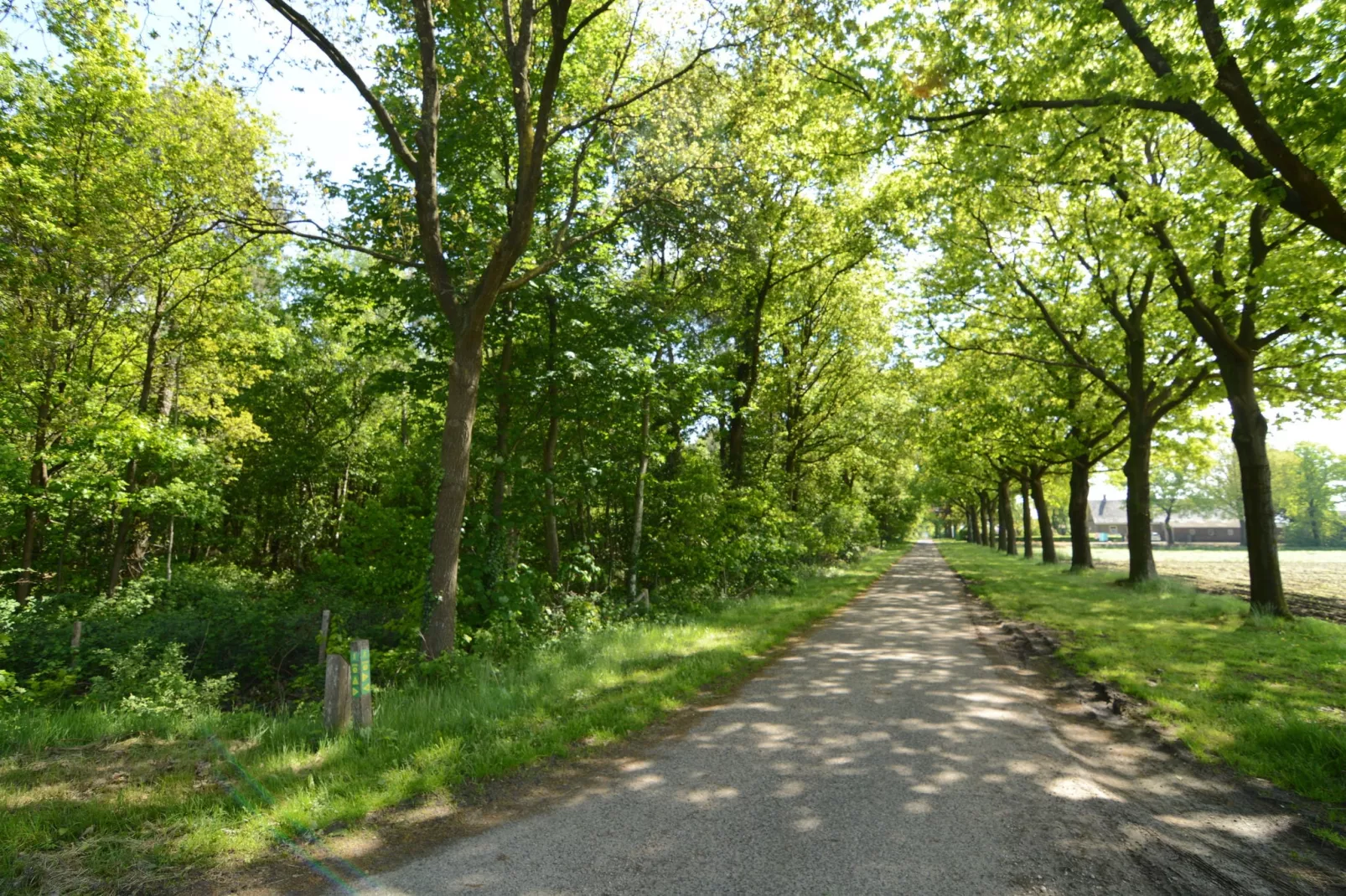 De Peelrand Hoeve-Gebieden zomer 1km