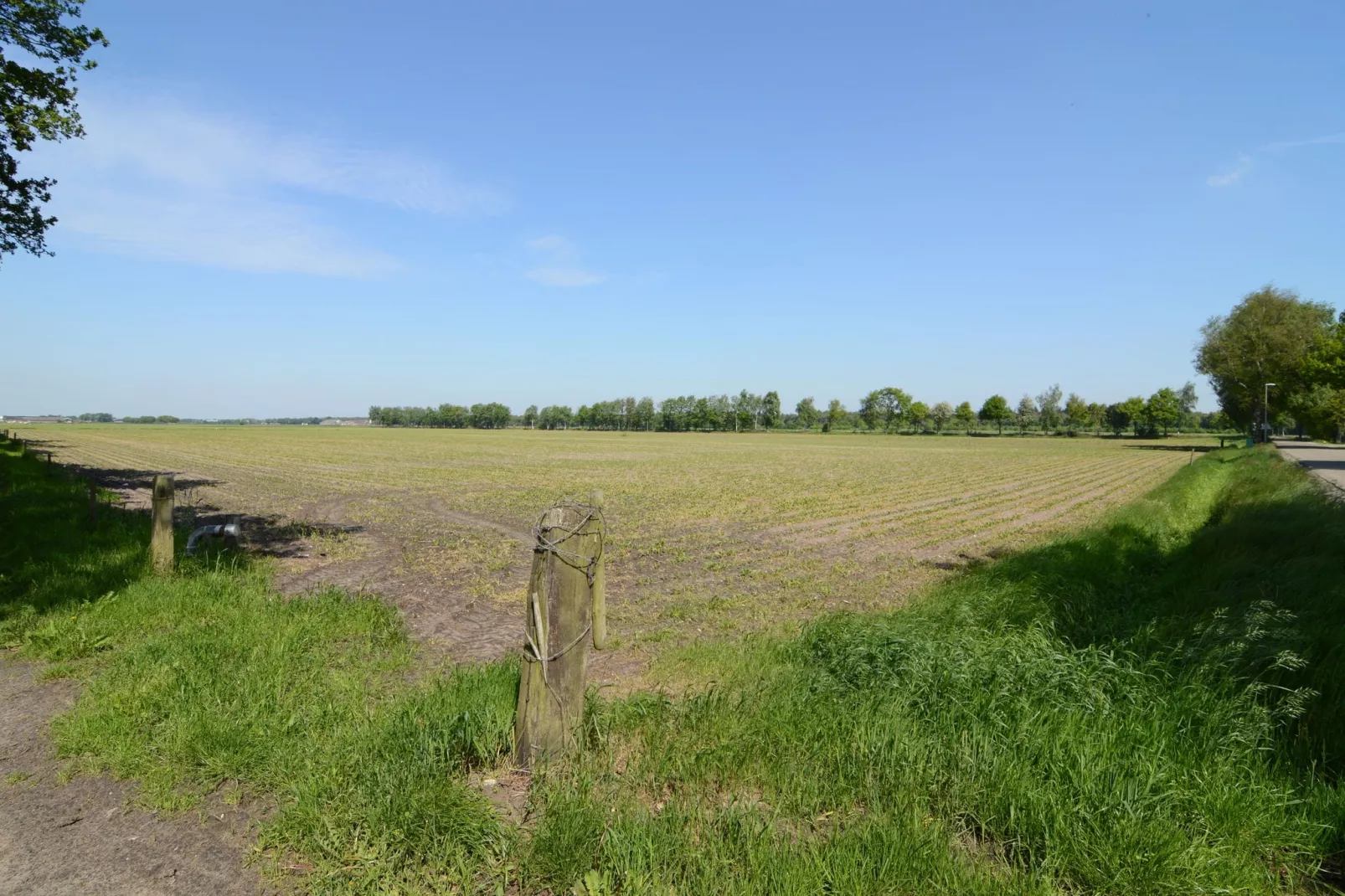 De Peelrand Hoeve-Gebieden zomer 1km