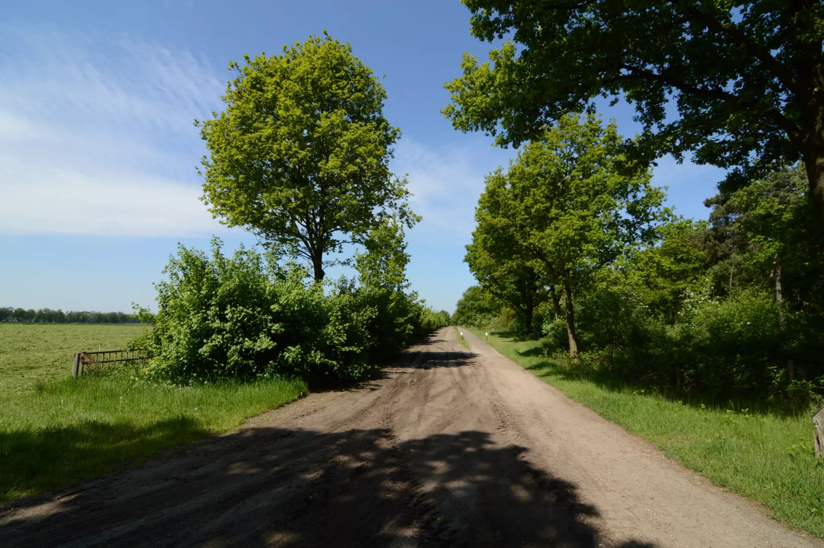 De Peelrand Hoeve-Gebieden zomer 1km