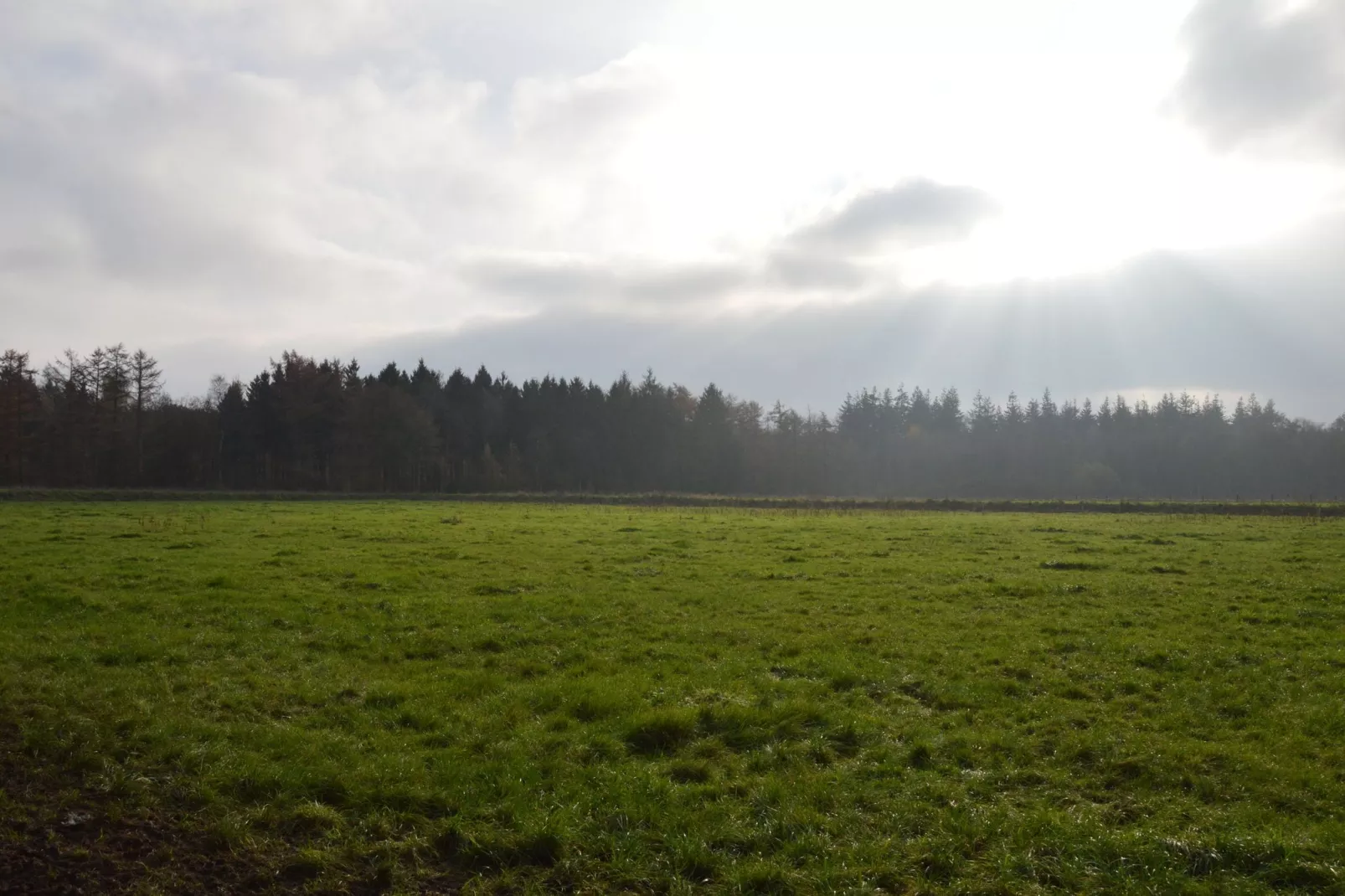 Natuurhuis Dichtbij-Uitzicht zomer