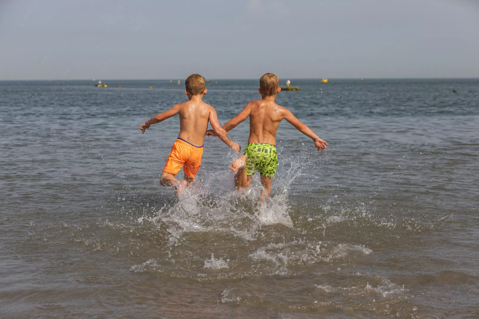 Noordzee Résidence De Banjaard 16-Gebieden zomer 1km