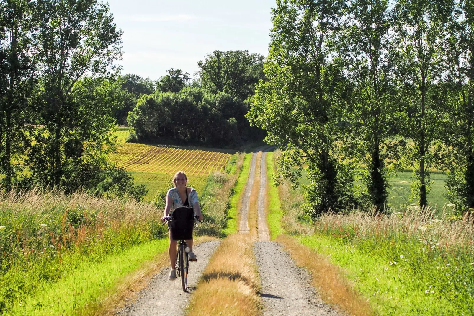 L'Orangerie-Gebieden zomer 1km