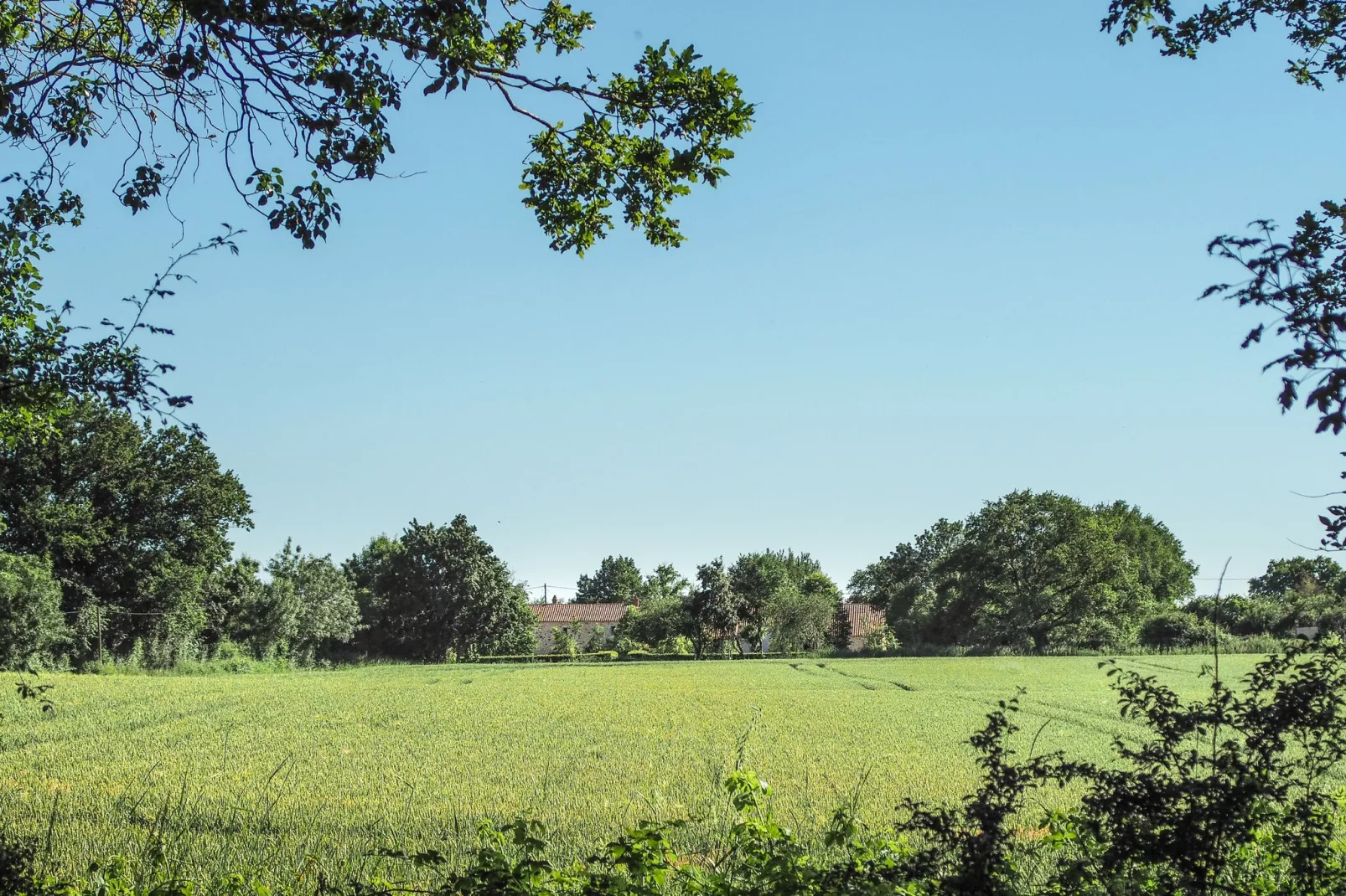 L'Orangerie-Gebieden zomer 5km