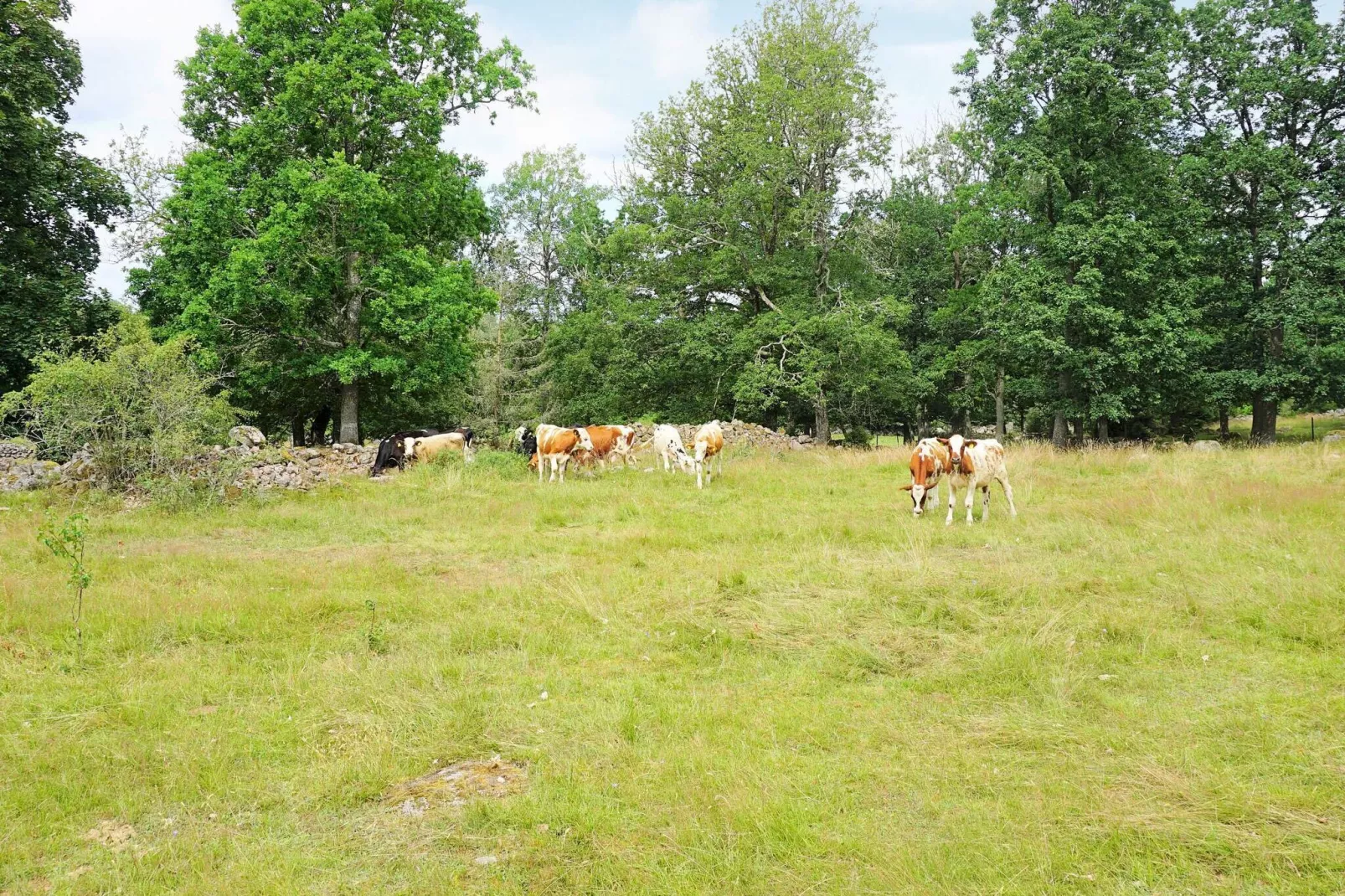 5 persoons vakantie huis in TINGSRYD-Niet-getagd