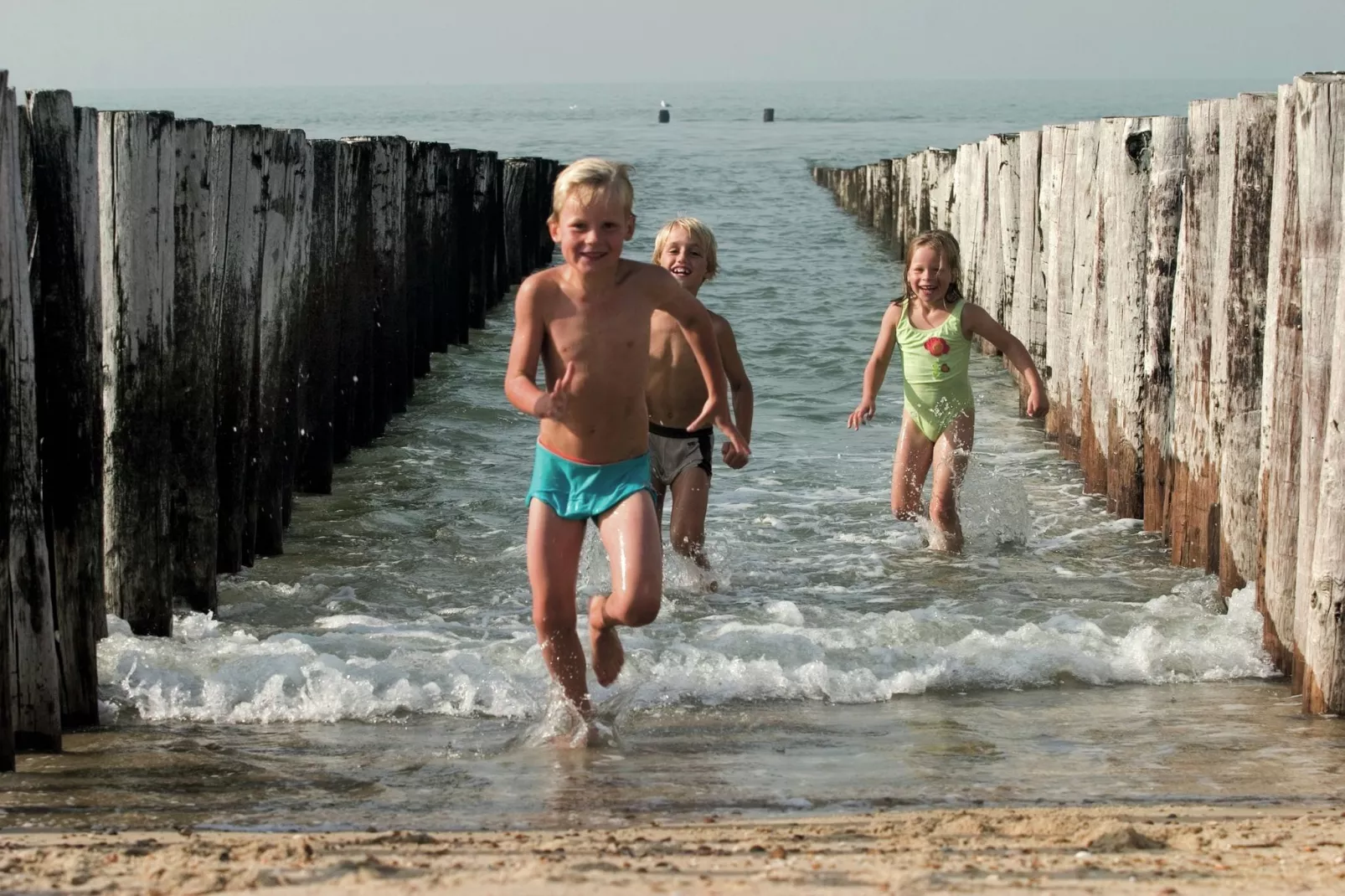 Vakantiepark Hof Domburg 12-Gebieden zomer 1km