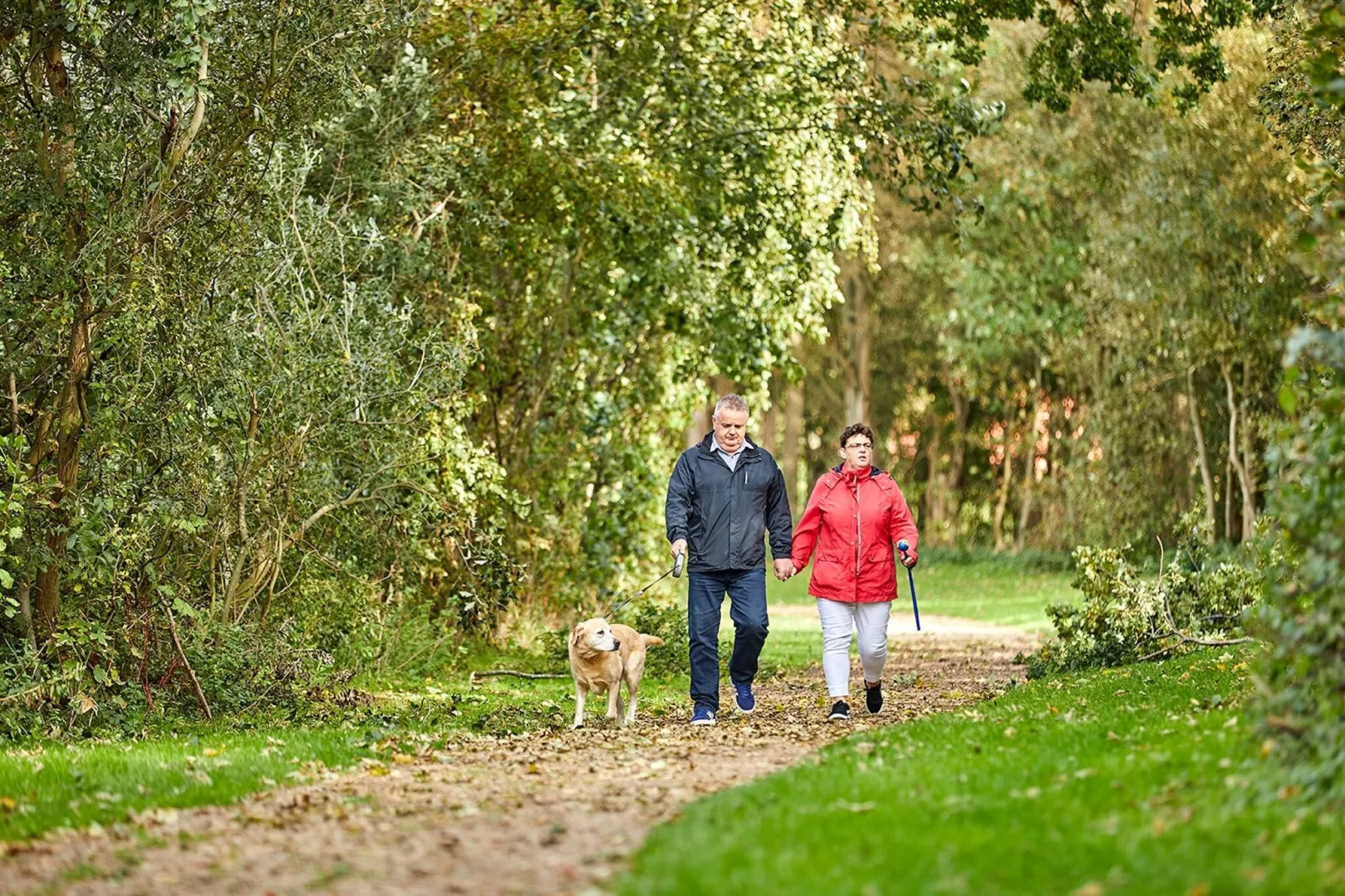 Vakantiepark Hof van Zeeland 6-Parkfaciliteiten