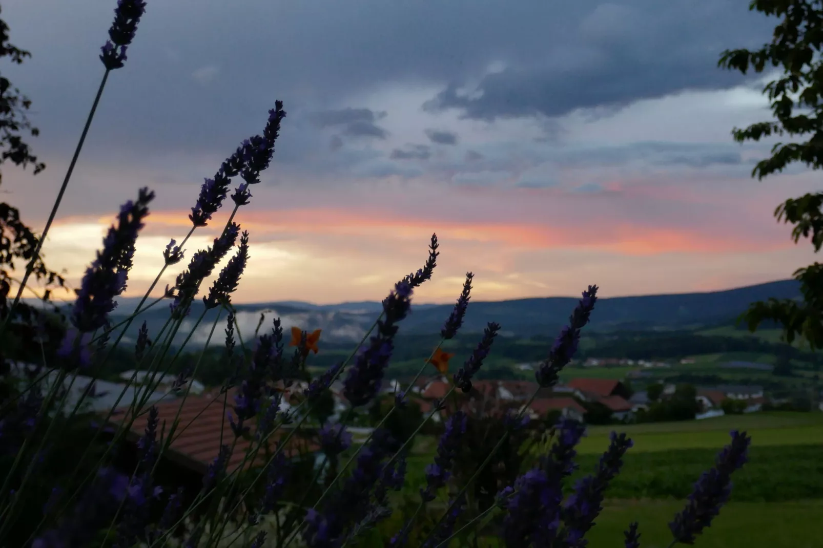 Haus Renate-Uitzicht zomer