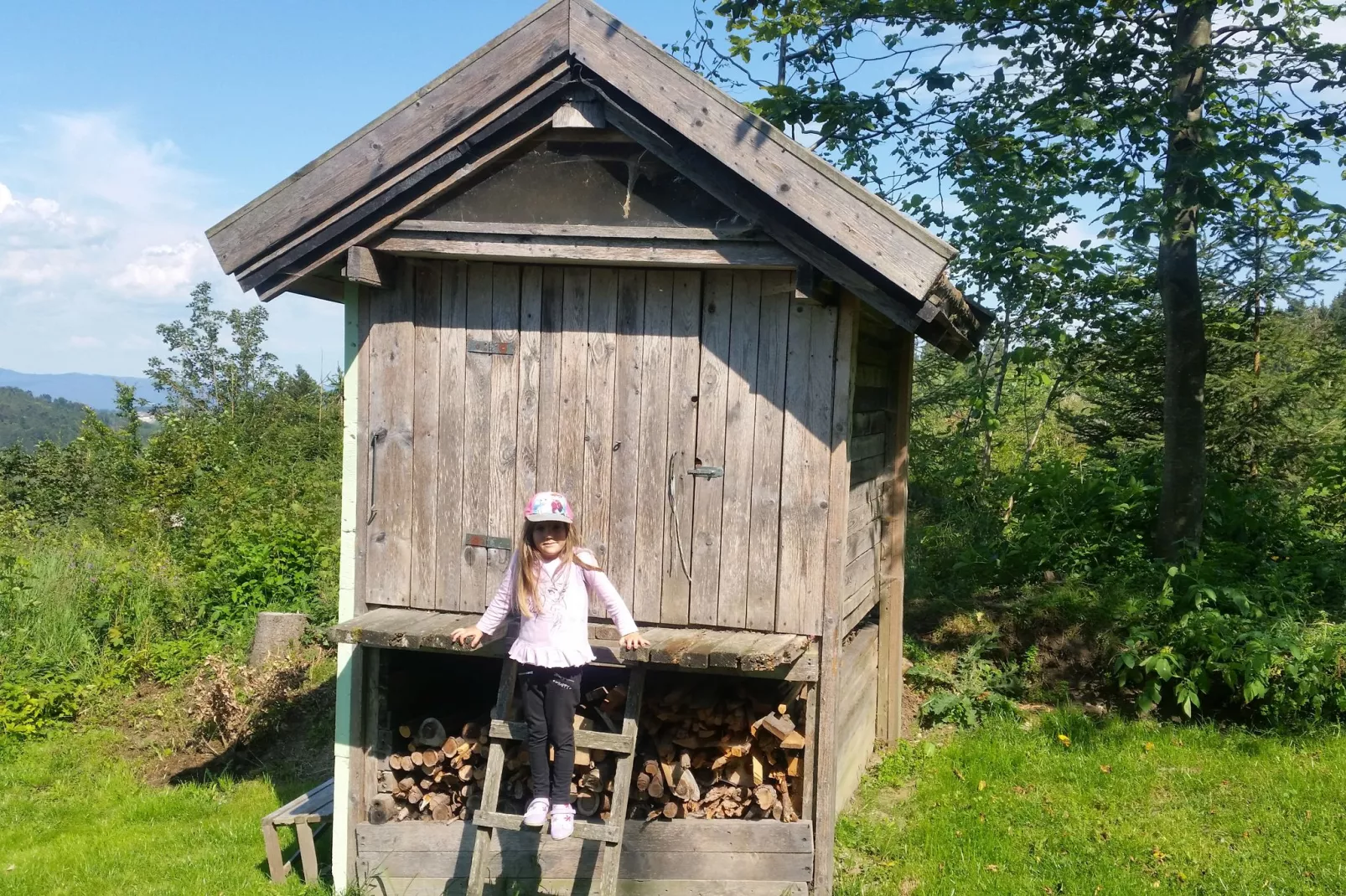 Holecek-Tuinen zomer