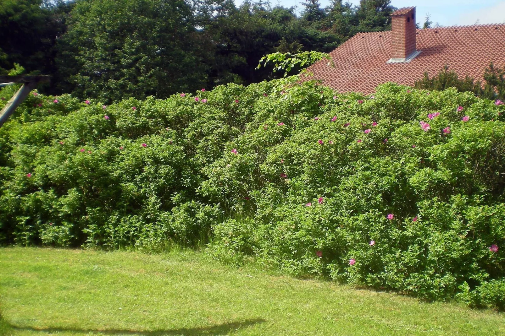 6 persoons vakantie huis in Blåvand-Uitzicht