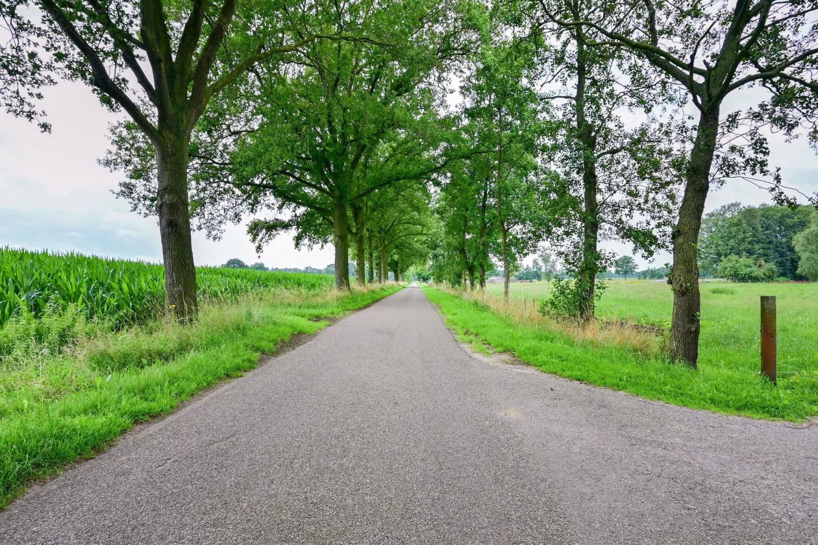 Welskerveen 5-Gebieden zomer 1km