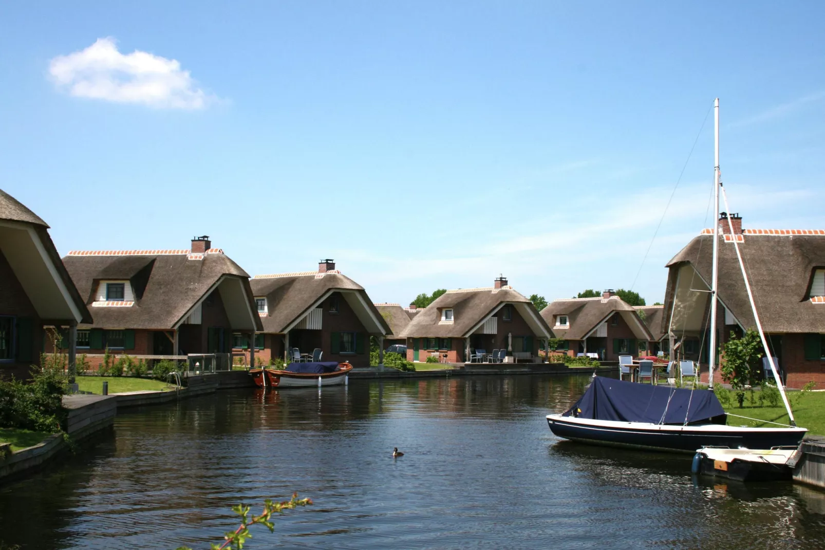 Waterpark Belterwiede 2-Gebieden zomer 1km