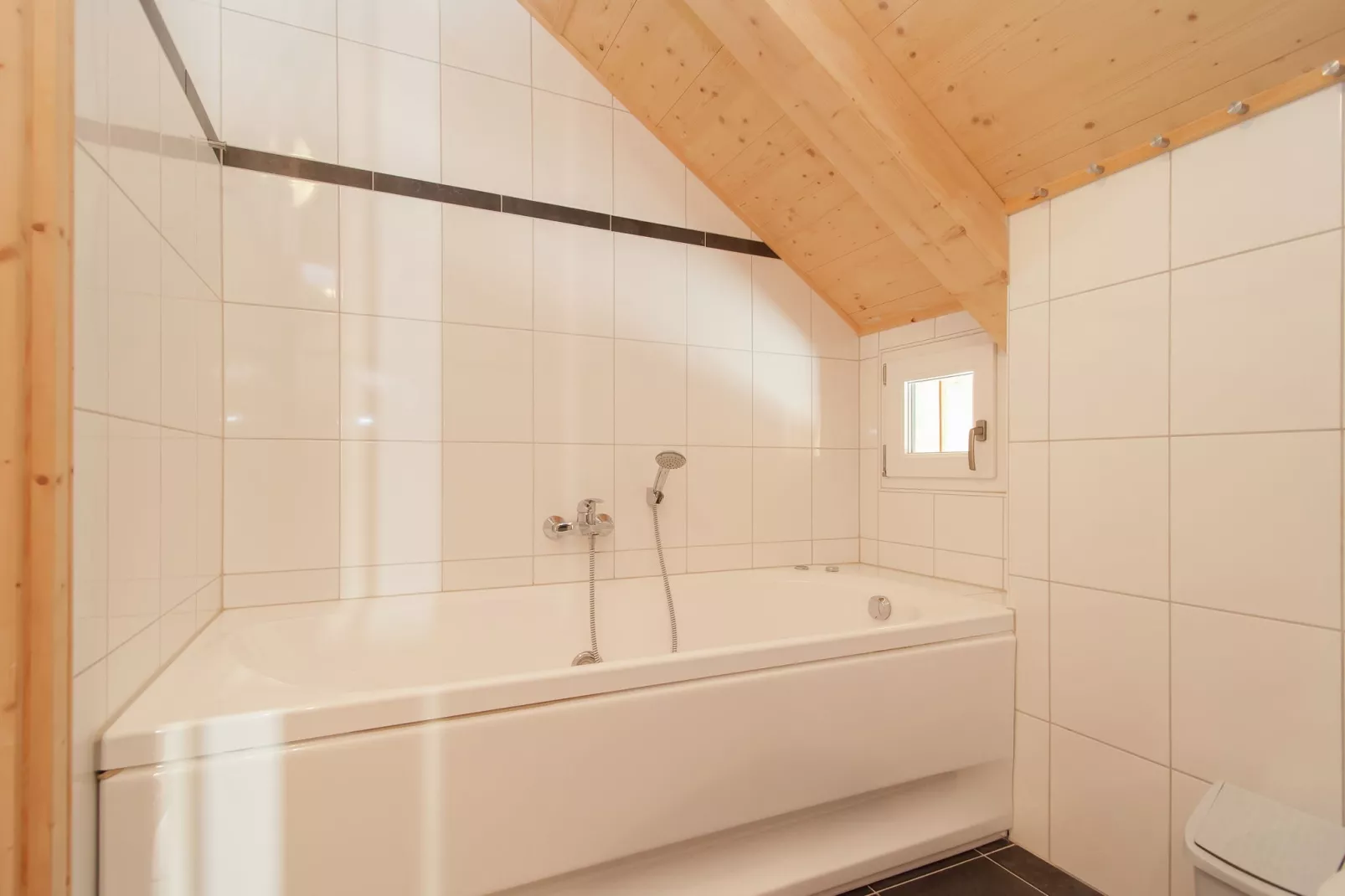 Chalet am Hallingerbach-Badkamer