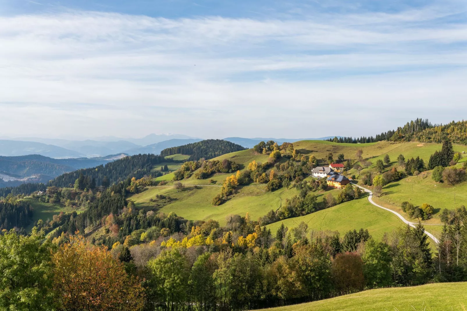 Traunig Hütte-Uitzicht zomer