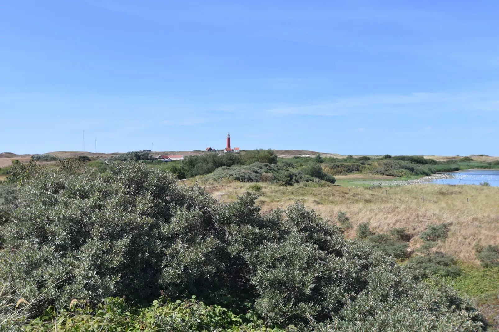 Villa Hoogelandt 70-Gebieden zomer 20km