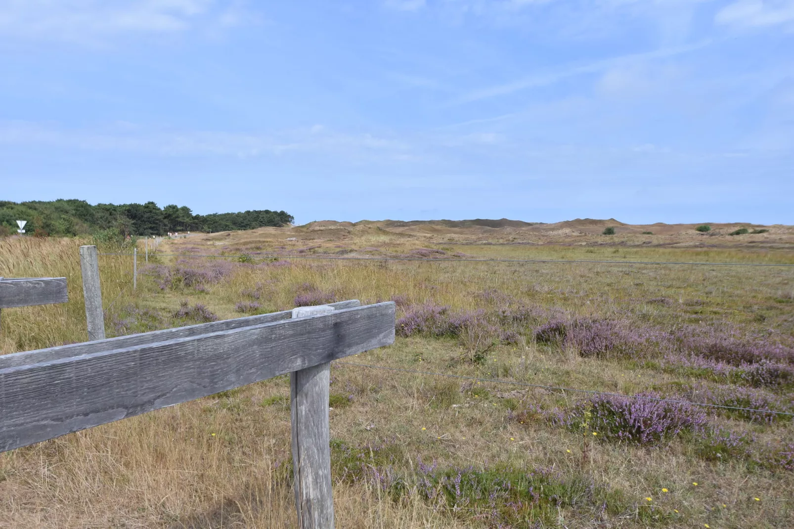 Villa Hoogelandt 70-Gebieden zomer 20km