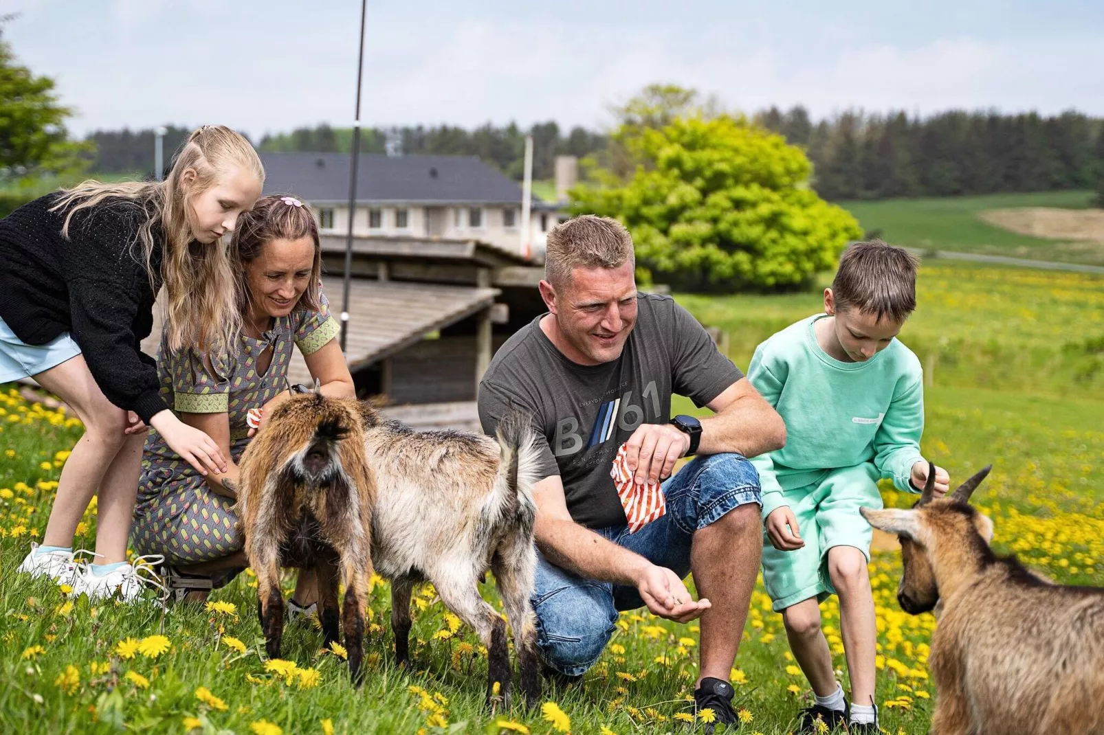 6 persoons vakantie huis op een vakantie park in Hanstholm-Niet-getagd