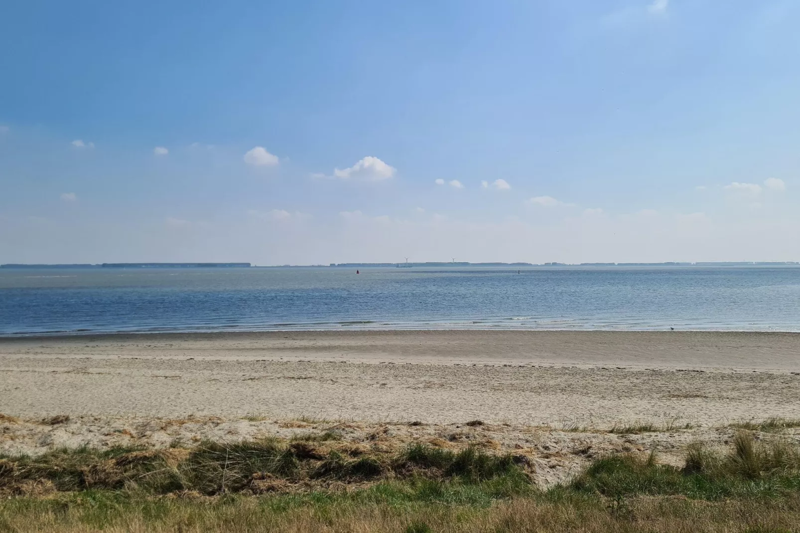 Holiday home Baarland Landingsweg 16-Gebieden zomer 1km