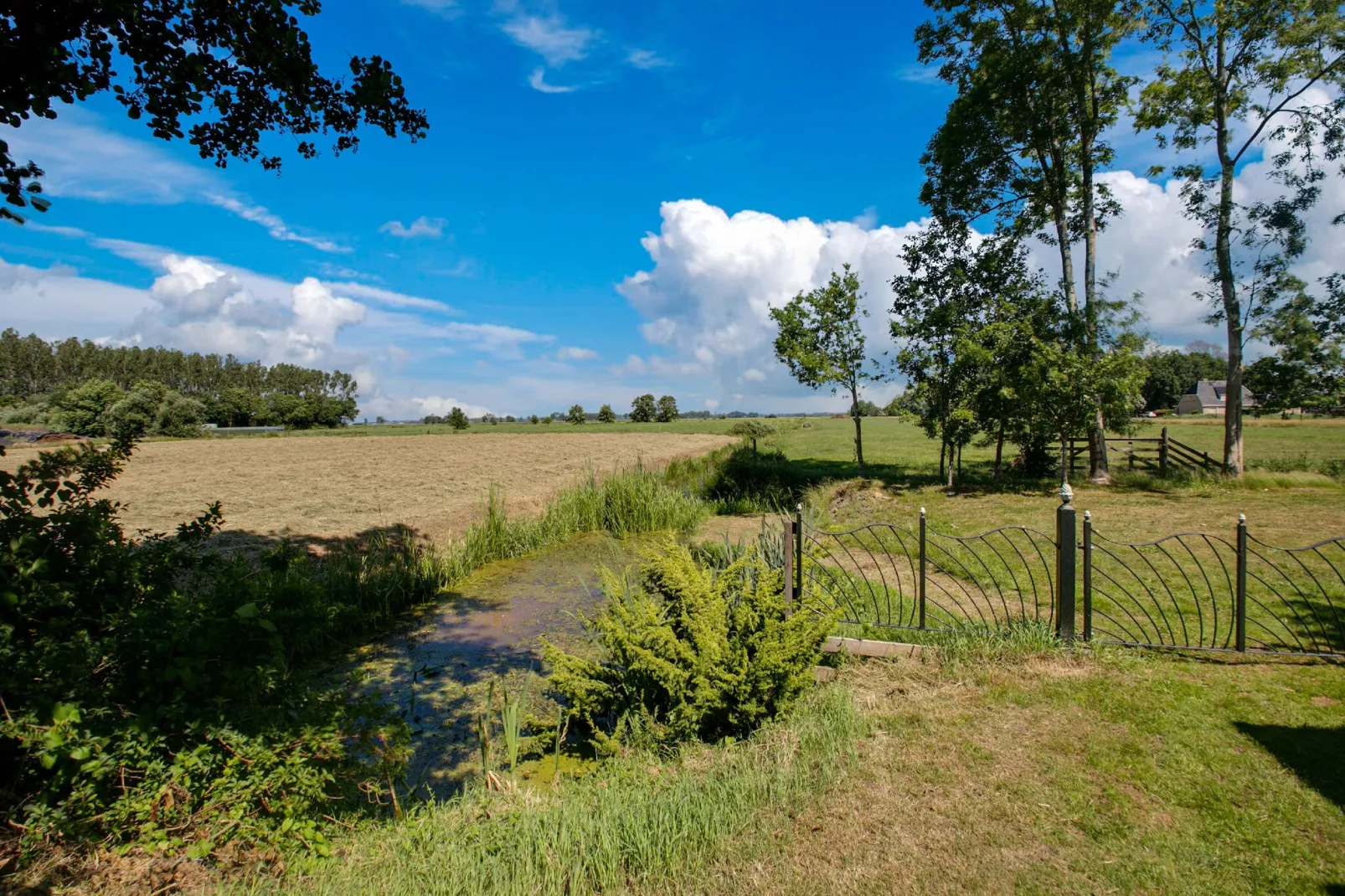 Hegedyk-Tuinen zomer