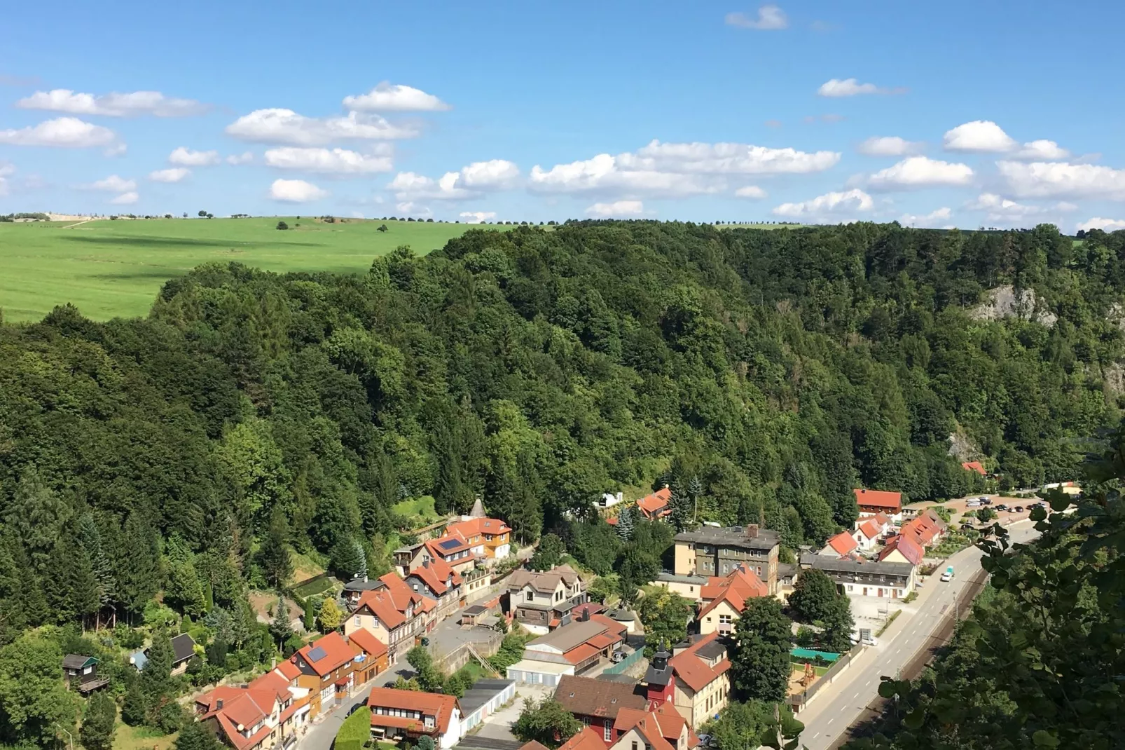 Mompels-Gebieden zomer 1km