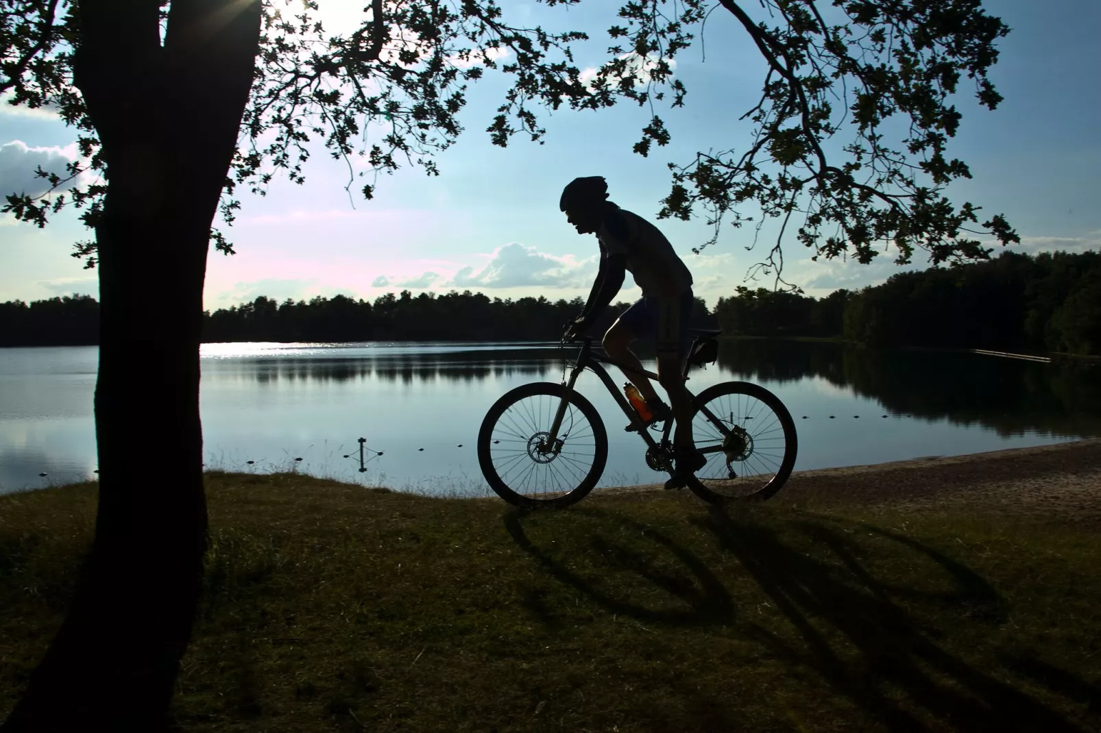 RCN Vakantiepark de Roggeberg 2-Gebieden zomer 1km