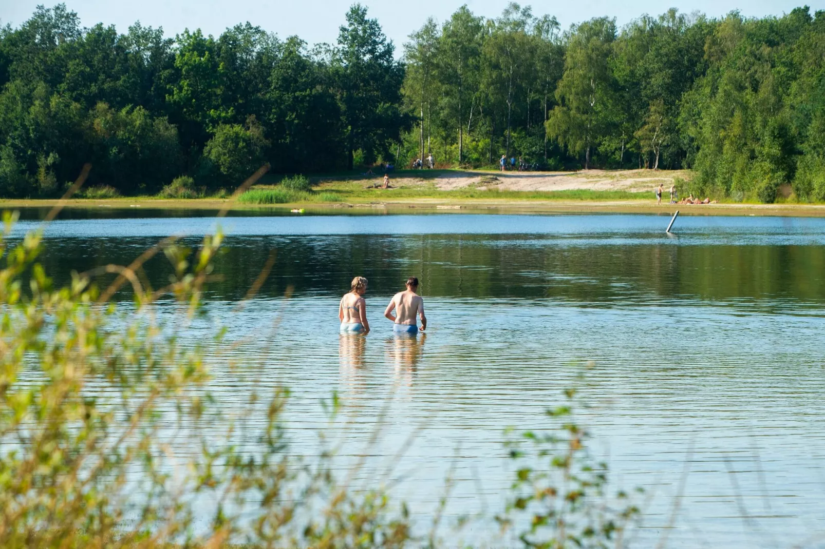 RCN Vakantiepark de Roggeberg 2-Gebieden zomer 5km