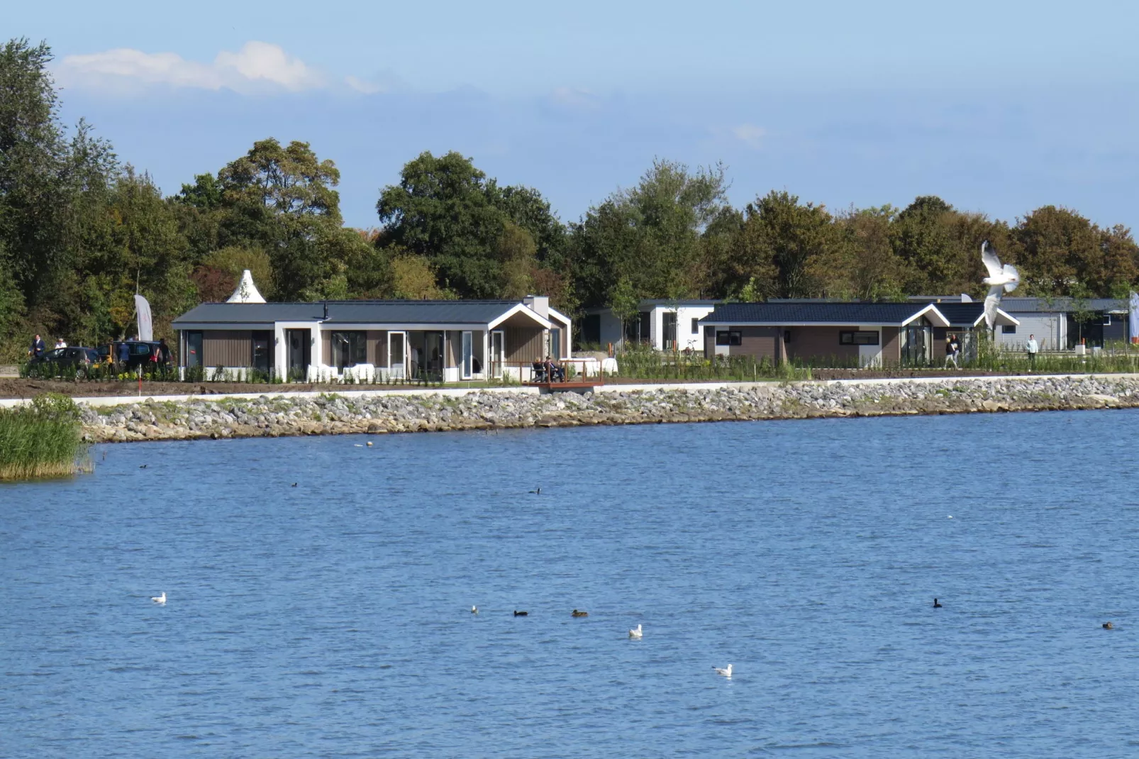 Resort Markermeer 4-Gebieden zomer 1km