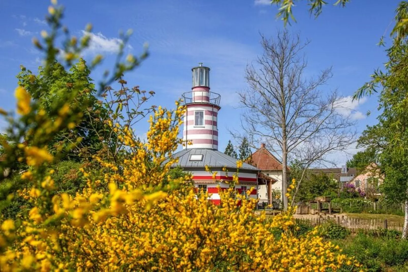 BEECH Resort Fleesensee in Göhren-Lebbin-Buitenkant zomer