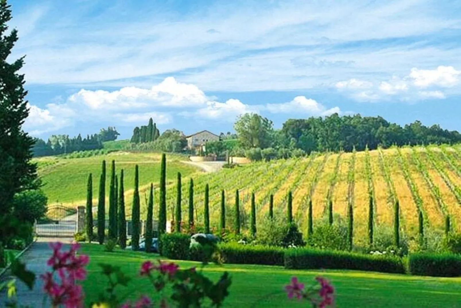 Ferienanlage Borgo della Meliana Gambassi Terme Typ Trilo Superior-Tuinen zomer