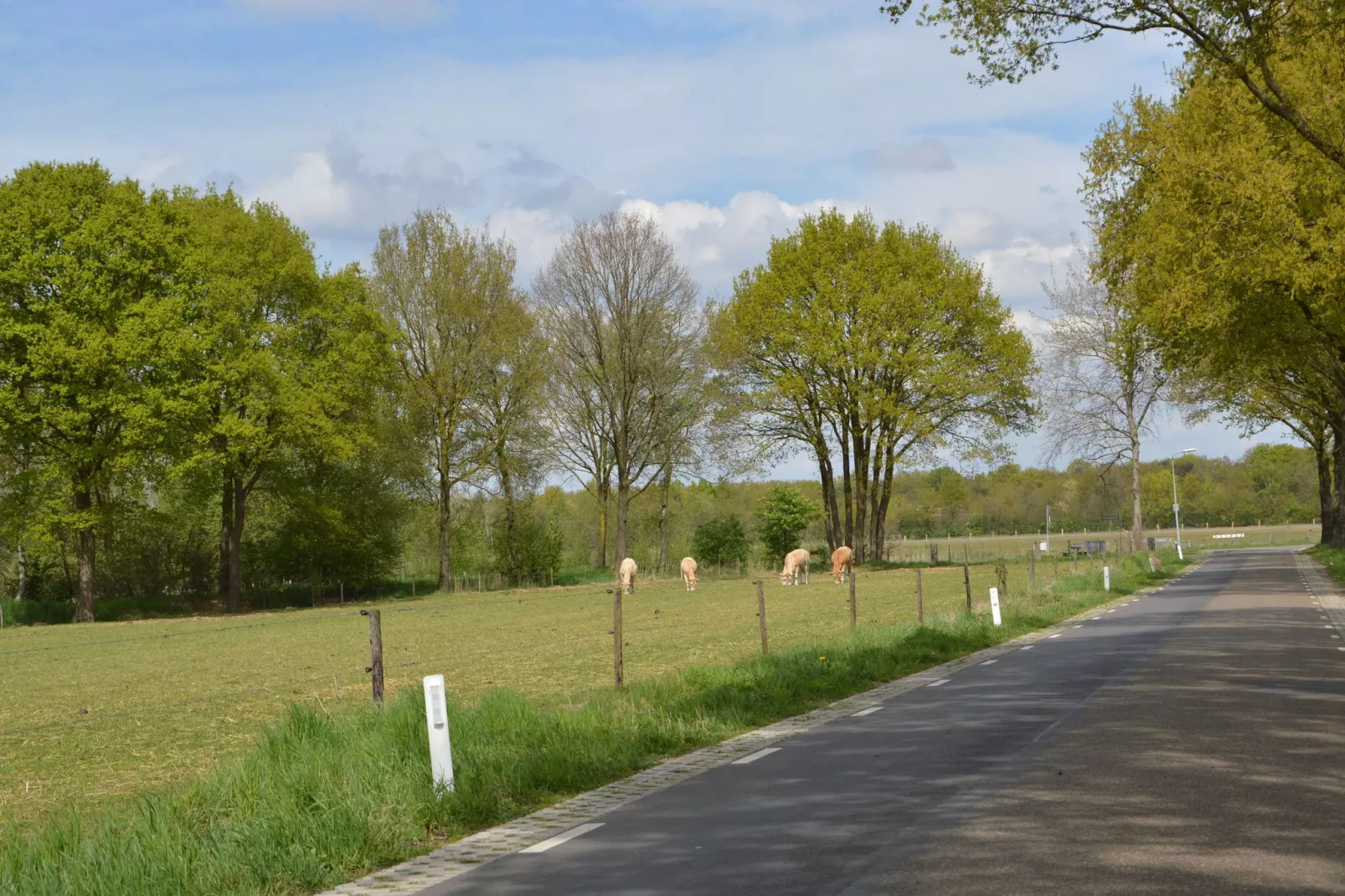 Vosseven 55 Annemoon-Gebieden zomer 5km