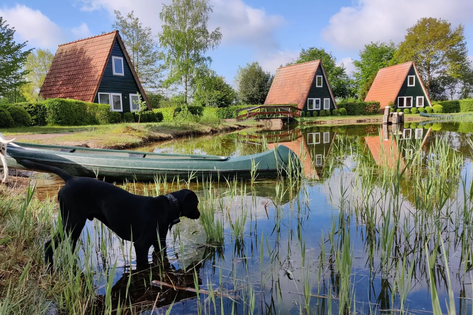 Vakantiepark Eigen Wijze 1-Gebieden zomer 1km