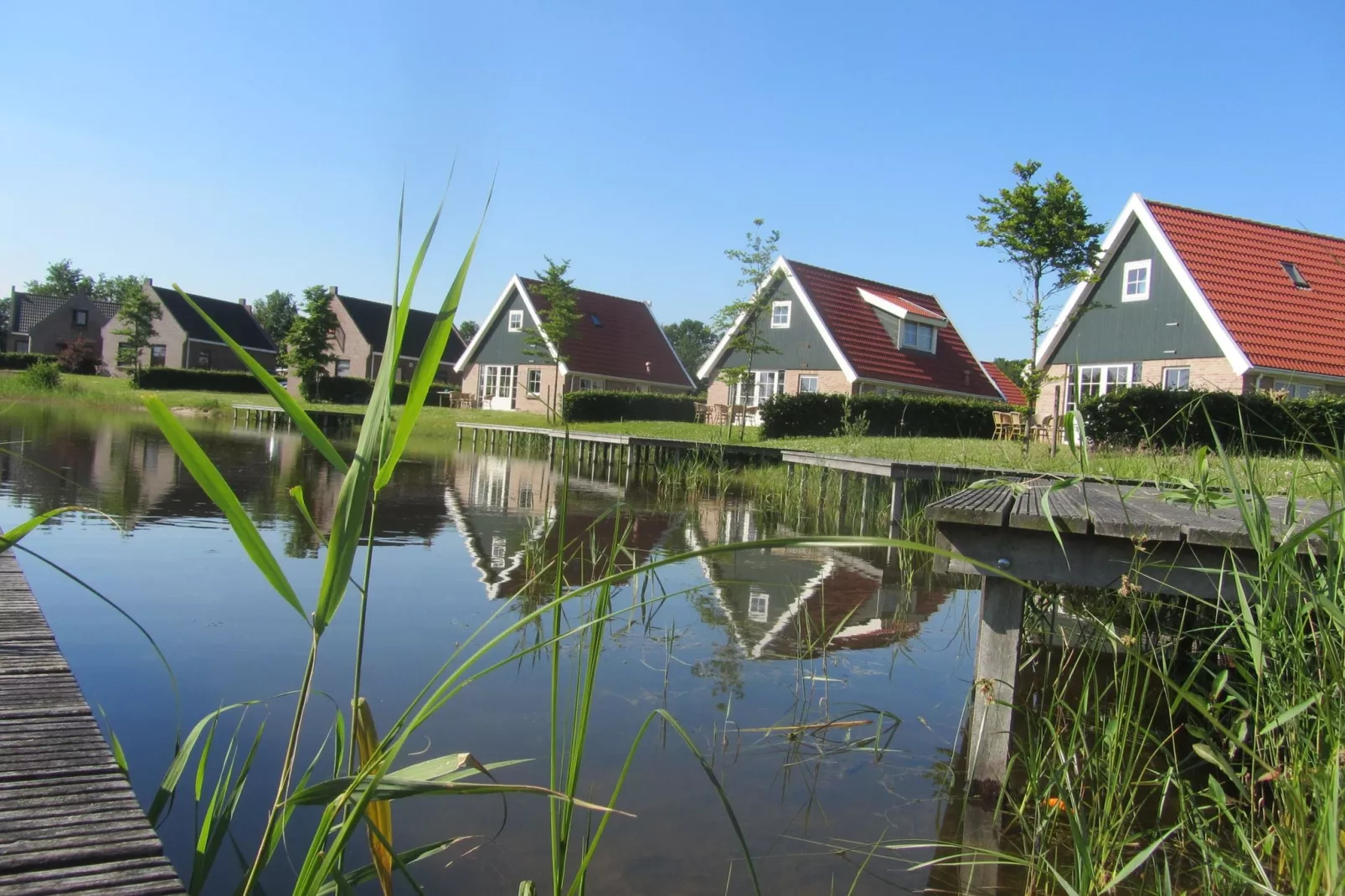 Vakantiepark Eigen Wijze 4-Buitenkant zomer