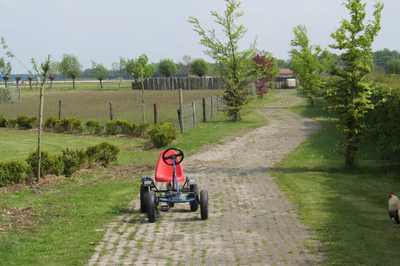 Vakantiepark Eigen Wijze 4-Gebieden zomer 1km