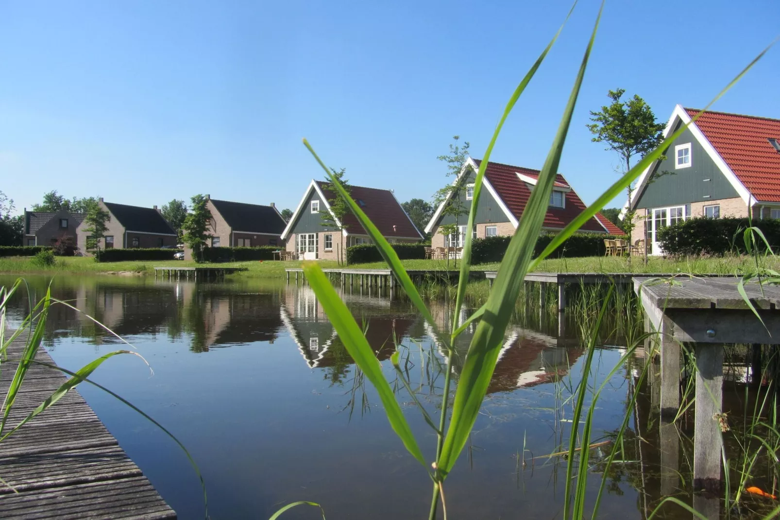 Vakantiepark Eigen Wijze 4-Gebieden zomer 1km