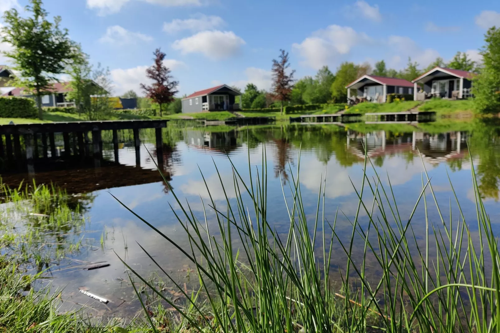 Vakantiepark Eigen Wijze 6-Gebieden zomer 1km