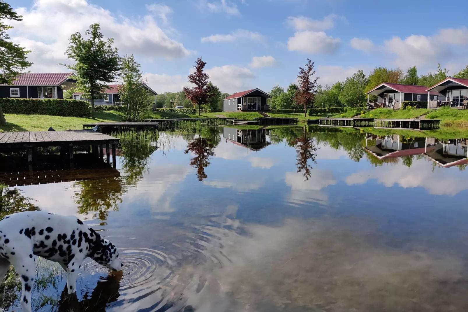 Vakantiepark Eigen Wijze 6-Gebieden zomer 1km